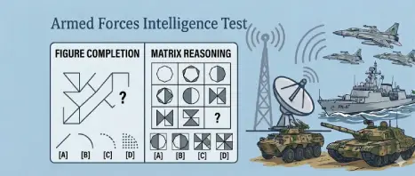 Non Verbal Intelligence Test 02
